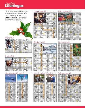sondag-20220102_000_00_00_060.pdf