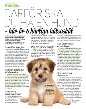 sondag-20220130_000_00_00_076.pdf