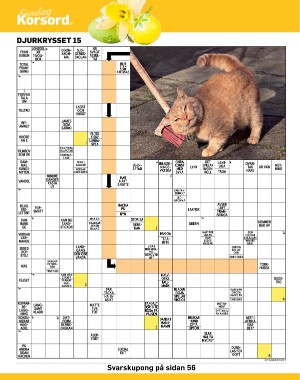 sondag-20220417_000_00_00_042.pdf