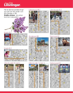 sondag-20220529_000_00_00_060.pdf