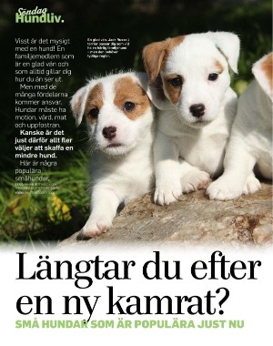 sondag-20220529_000_00_00_072.pdf