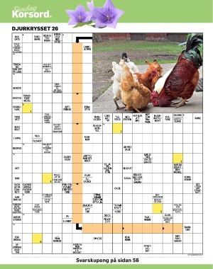 sondag-20220703_000_00_00_042.pdf