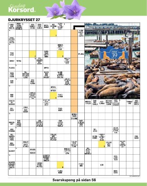 sondag-20220710_000_00_00_042.pdf