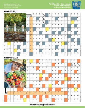sondag-20220710_000_00_00_043.pdf