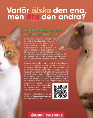 sondag-20220807_000_00_00_018.pdf