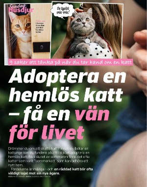 sondag-20220807_000_00_00_026.pdf