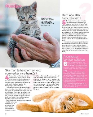 sondag-20220807_000_00_00_028.pdf