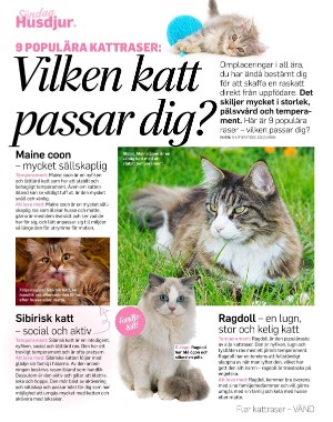sondag-20220807_000_00_00_031.pdf