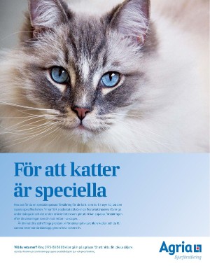 sondag-20220807_000_00_00_099.pdf