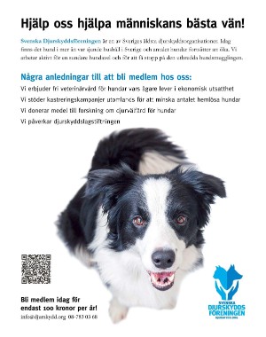 sondag-20220821_000_00_00_073.pdf