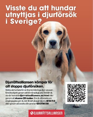 sondag-20220821_000_00_00_075.pdf