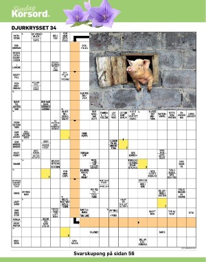 sondag-20220828_000_00_00_042.pdf