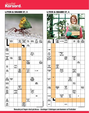 sondag-20220918_000_00_00_044.pdf