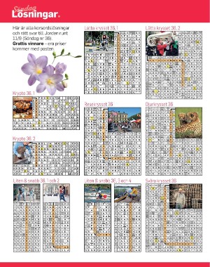 sondag-20221002_000_00_00_060.pdf