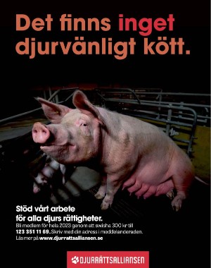 sondag-20221002_000_00_00_063.pdf