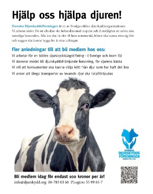 sondag-20221002_000_00_00_067.pdf
