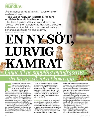 sondag-20221002_000_00_00_068.pdf