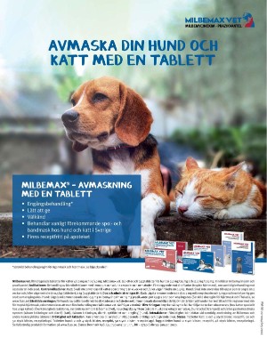 sondag-20221002_000_00_00_073.pdf