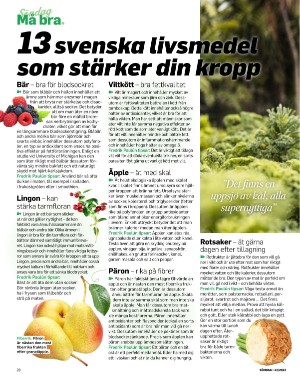 sondag-20221023_000_00_00_028.pdf