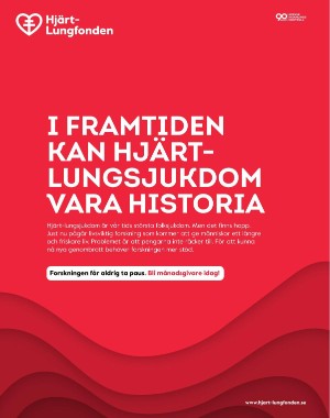 sondag-20250426_000_00_00_068.pdf