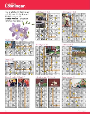 sondag-20250531_000_00_00_048.pdf