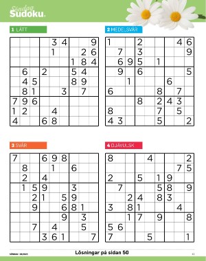 sondag-20250628_000_00_00_041.pdf
