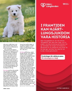 sondag-20250628_000_00_00_067.pdf