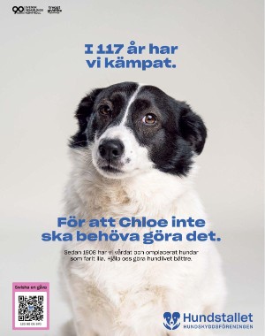 sondag-20250726_000_00_00_021.pdf