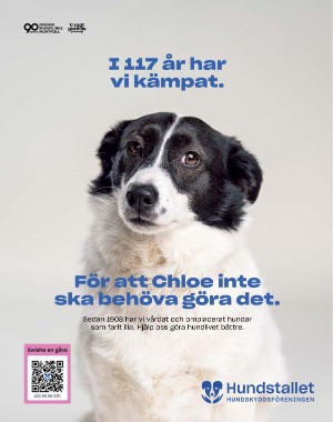 sondag-20250809_000_00_00_075.pdf