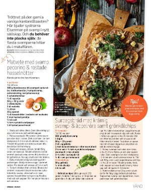sondag-20250830_000_00_00_061.pdf