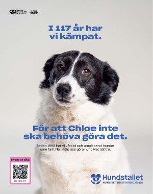sondag-20250830_000_00_00_075.pdf