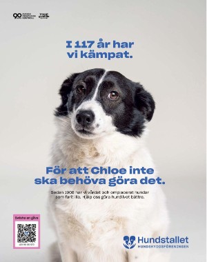 sondag-20250913_000_00_00_022.pdf