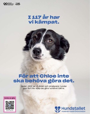 sondag-20250927_000_00_00_002.pdf