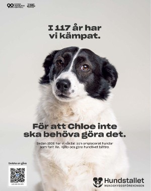 sondag-20251004_000_00_00_005.pdf