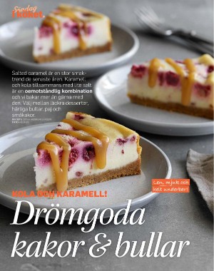 sondag-20251011_000_00_00_060.pdf