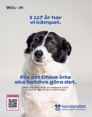 sondag-20251011_000_00_00_075.pdf
