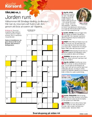 sondag-20251031_000_00_00_034.pdf sondag-20251031_000_00_00_034.pdf