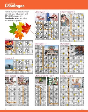 sondag-20251031_000_00_00_050.pdf sondag-20251031_000_00_00_050.pdf