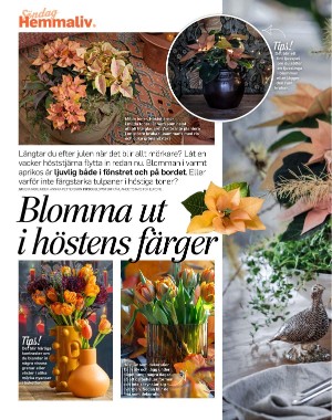 sondag-20251031_000_00_00_054.pdf sondag-20251031_000_00_00_054.pdf