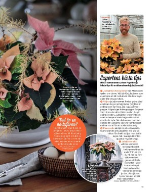 sondag-20251031_000_00_00_055.pdf sondag-20251031_000_00_00_055.pdf