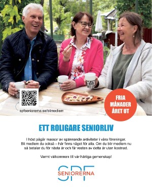 sondag-20251108_000_00_00_002.pdf