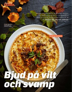 sondag-20251108_000_00_00_060.pdf