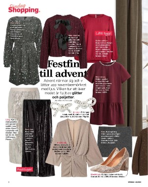 sondag-20251115_000_00_00_008.pdf