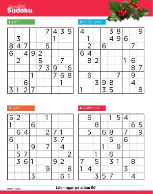 sondag-20251115_000_00_00_041.pdf