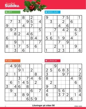 sondag-20251115_000_00_00_042.pdf