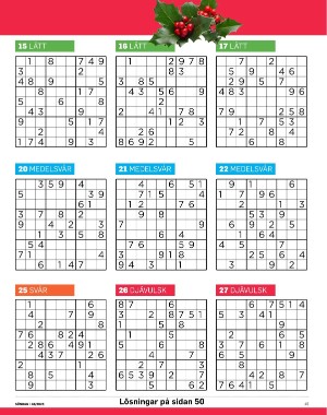 sondag-20251115_000_00_00_045.pdf