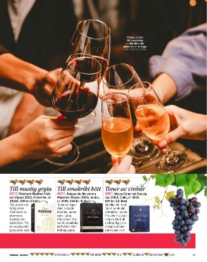 sondag-20251115_000_00_00_059.pdf