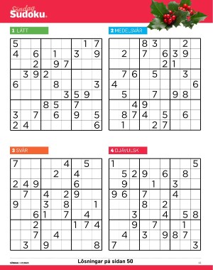 sondag-20251122_000_00_00_041.pdf