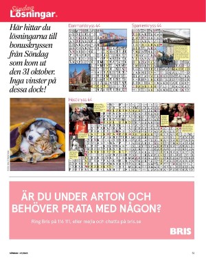 sondag-20251122_000_00_00_051.pdf