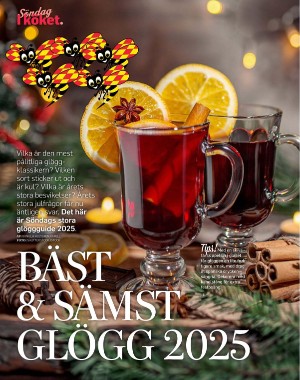 sondag-20251122_000_00_00_056.pdf